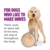 Tropiclean Perfect Fur Curly and Wavy Coat Sjampo til hund