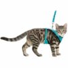 Mesh Y-sele for katt ass farger Mesh Y-sele for katt ass farger