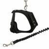 Mesh Y-sele for katt ass farger Mesh Y-sele for katt ass farger