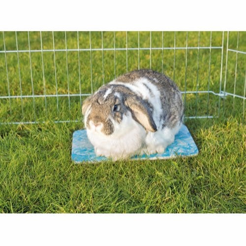 Kjøleplate for smådyr-katt-valper