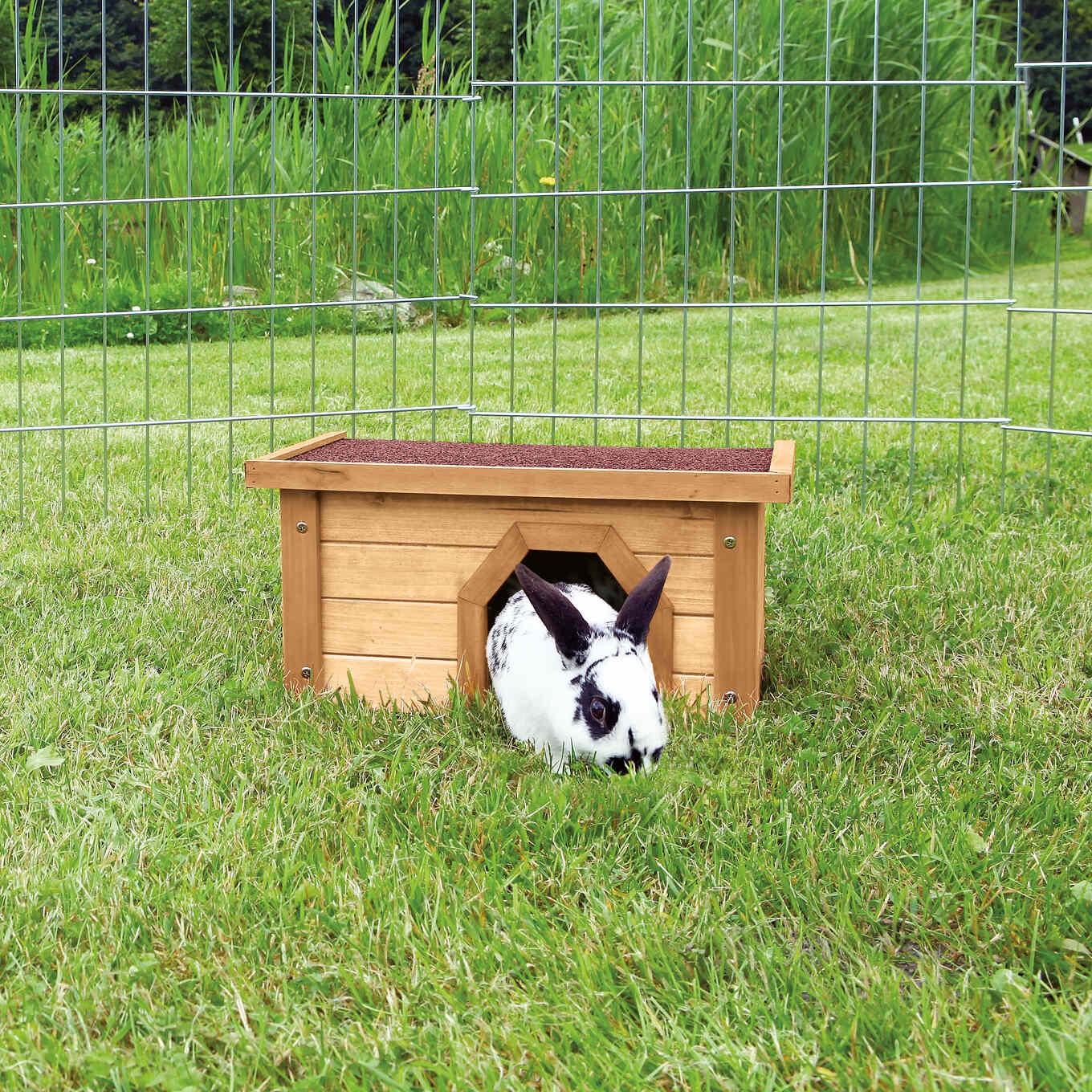 Værbeskyttelse-tilfluktshus til kanin og marsvin