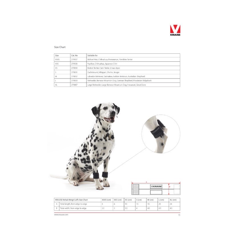 Kruuse Rehab Vektmansjetter Styrketrening Fysioterapi Hund