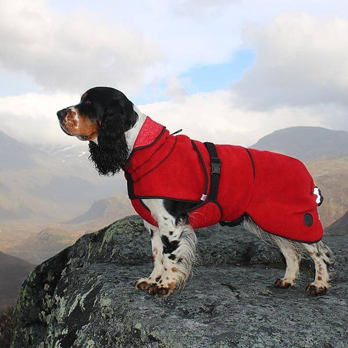 Canelana Lana Hundedekken i Ull (Rød) Canelana Lana Hundedekken i Ull (Rød)