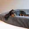 Canelana Hundesengtrekk i ull til Bia Bed Hundesenger