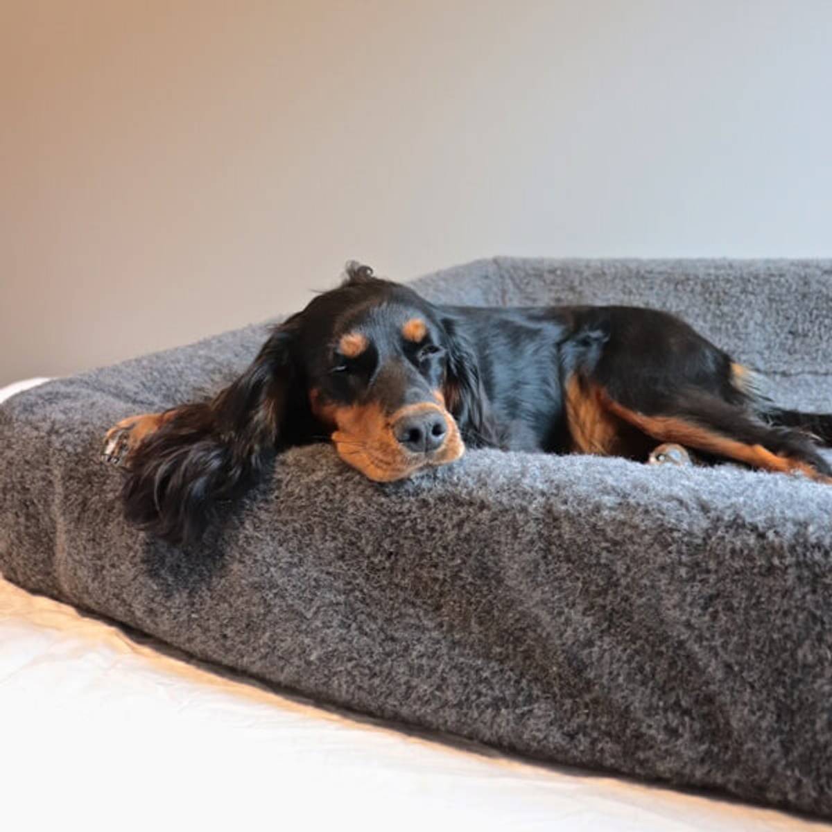 Canelana Hundesengtrekk i ull til Bia Bed Hundesenger