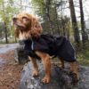 Canelana Cover Vind- / Regndekken Hundedekken Softshell Sort Canelana Cover Vind- / Regndekken Hundedekken Softshell Sort
