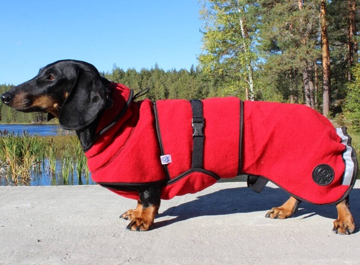 Canelana Lana Hundedekken i Ull (Rød) Canelana Lana Hundedekken i Ull (Rød)