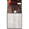 CORE Wellness Adult Ocean Salmon and Tuna CORE Wellness Adult Ocean Salmon and Tuna