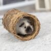 Wicker tunnel for rabbits ø 20x38cm Wicker tunnel for rabbits ø 20x38cm