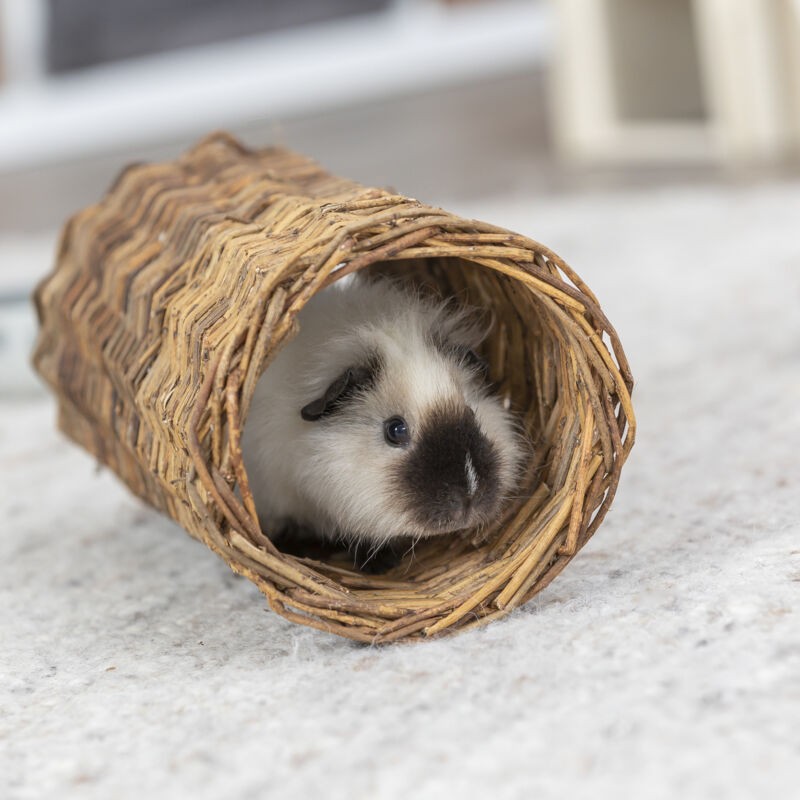 Wicker tunnel for rabbits ø 20x38cm