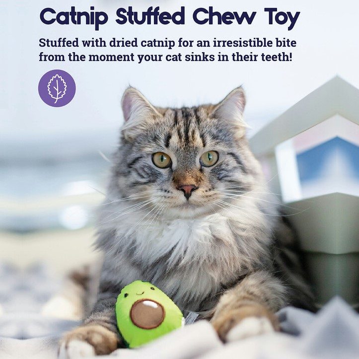 Petstages Lil-Avocato Dental Health Cat Chew leke