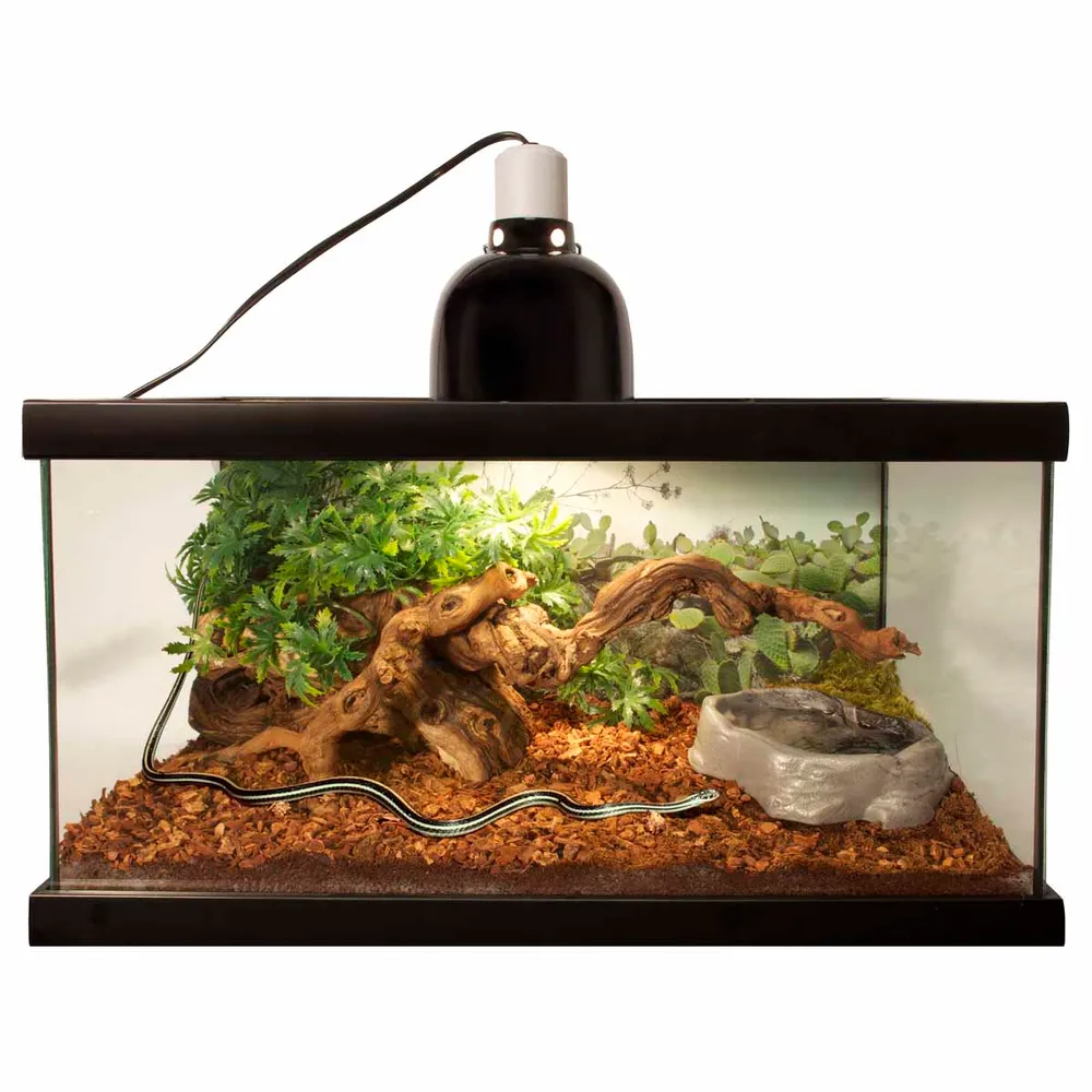 Zoo Med ReptiBark Zoo Med ReptiBark