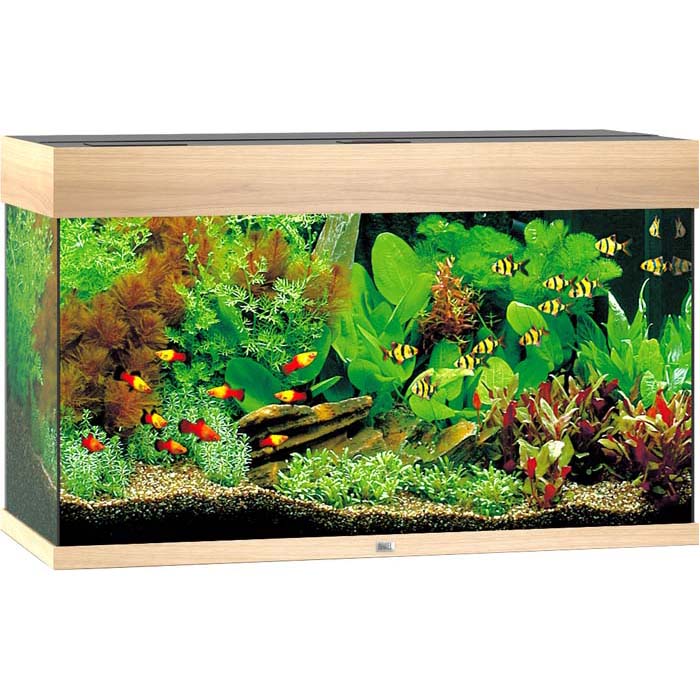 Juwel Akvarium LED Rio 125 - Eik