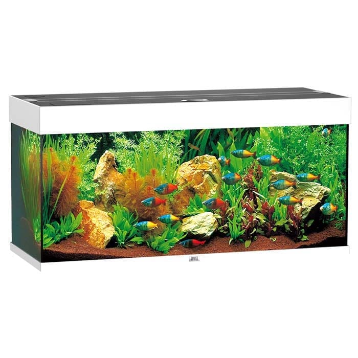 Juwel Akvarium LED Rio 180 - Hvit