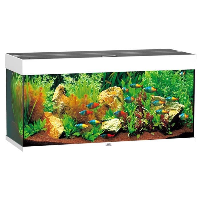 Juwel Akvarium LED Rio 180 - Hvit