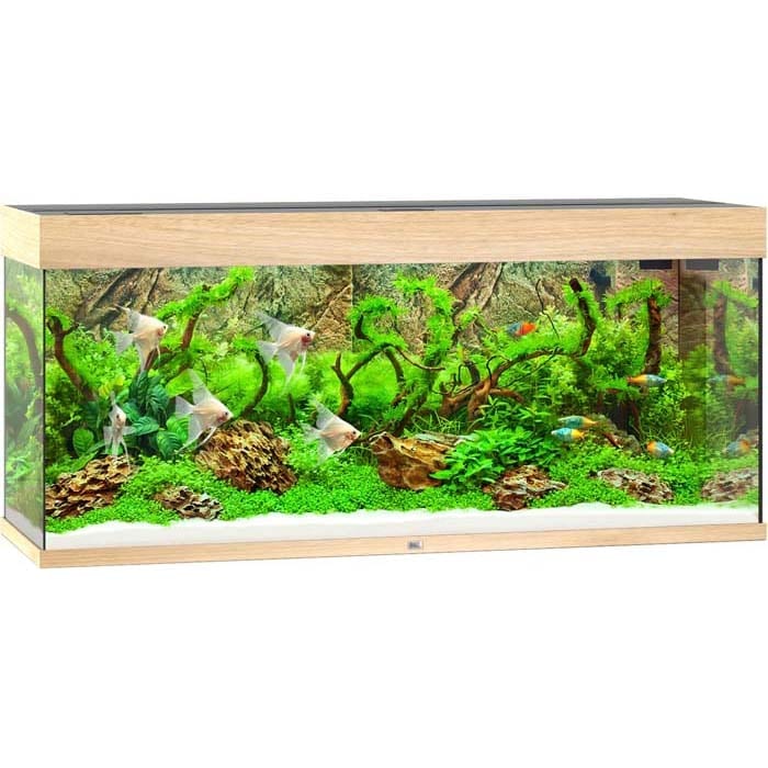 Juwel Akvarium LED Rio 240 - Eik