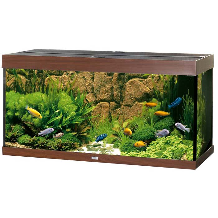 Juwel Akvarium LED Rio 350 121x51x66cm 350L - Mørkebrun