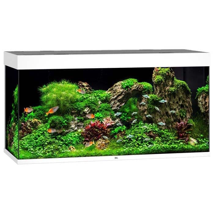 Juwel Akvarium LED Rio 350 121x51x66cm 350L - Hvit