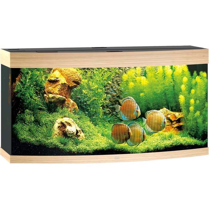 Juwel Buet Akvarium LED Vision 260 121x46x64cm - Eik