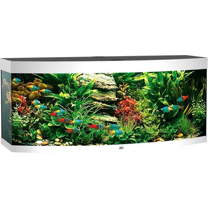 Juwel Vision 450 Buet Akvarium LED 151x61x64cm - Hvit