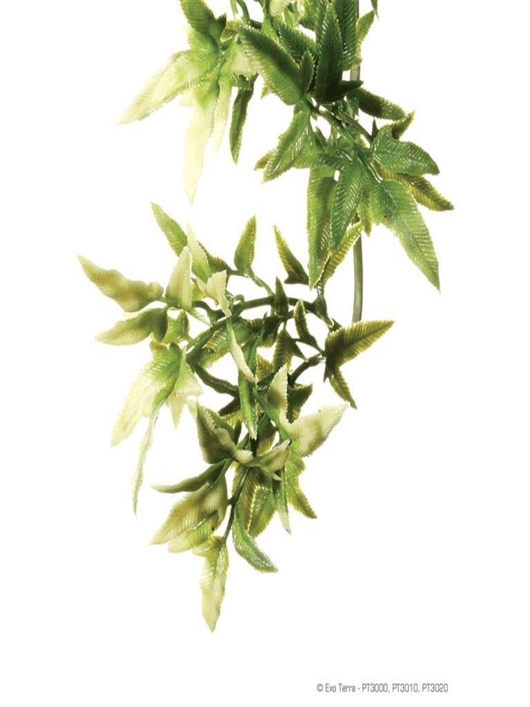 Exo Terra Kroton Hengeplante - Large