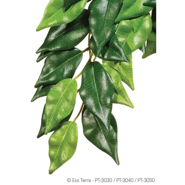 Exo Terra Ficus Hengeplante - Large