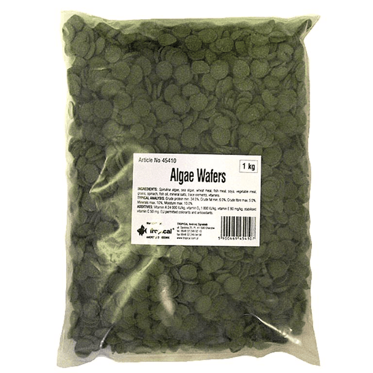 Tropical Algae Wafers - 1kg