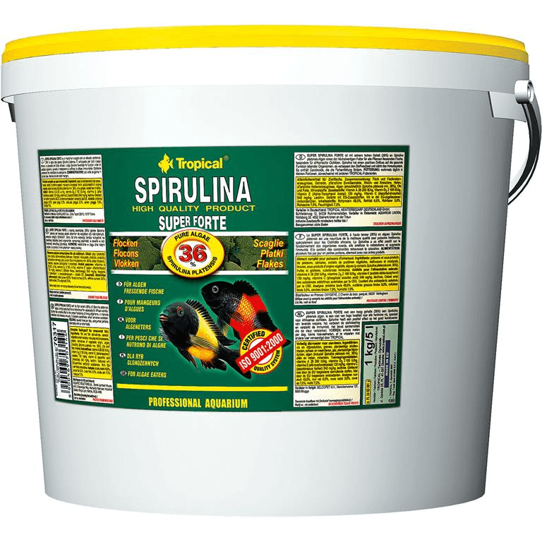 Tropical Spirulina Super Forte - 1kg
