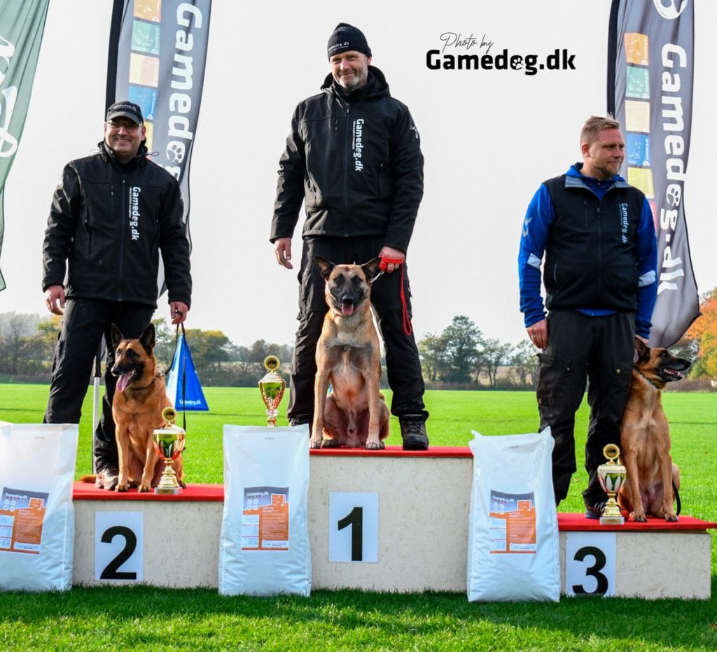Gamedog.no konkurranse