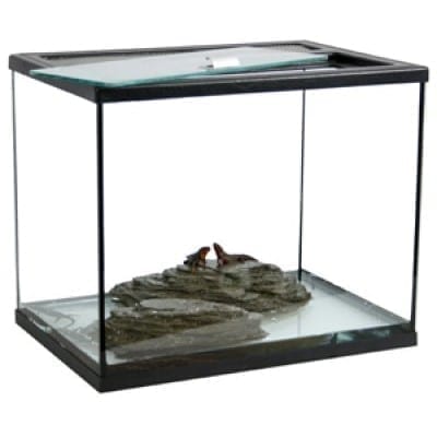 Helglass terrarier- toppbetjent - 40x28x35 cm