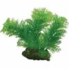 Plastplante Egeria