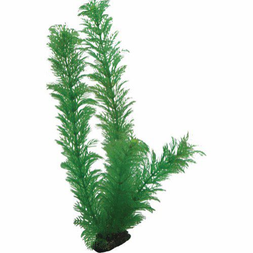 Plastplante Egeria- flere størrelser - 34CM