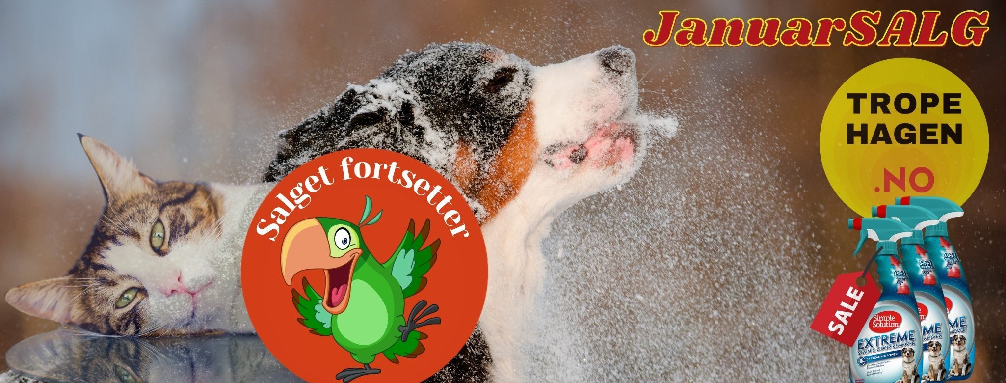 Januarsalget fortsetter