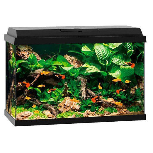 Juwel akvarium Primo 70ltr 61x31x44cm - Sort