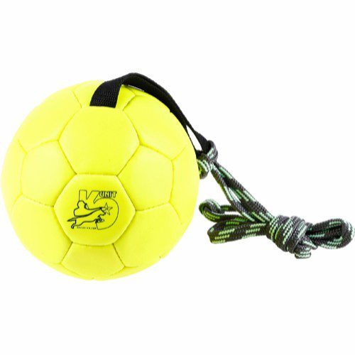 show training ball julius k-9