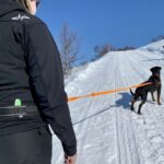 Alac magebelte med elastiske bånd