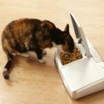 Petsafe Staywell forautomat til hund og katt digital timer