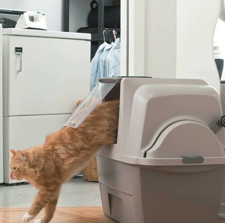 Catit SmartSift Litter Box-kattetoalett