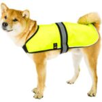 FerPlast Radius refleksvest til hund med LED lys