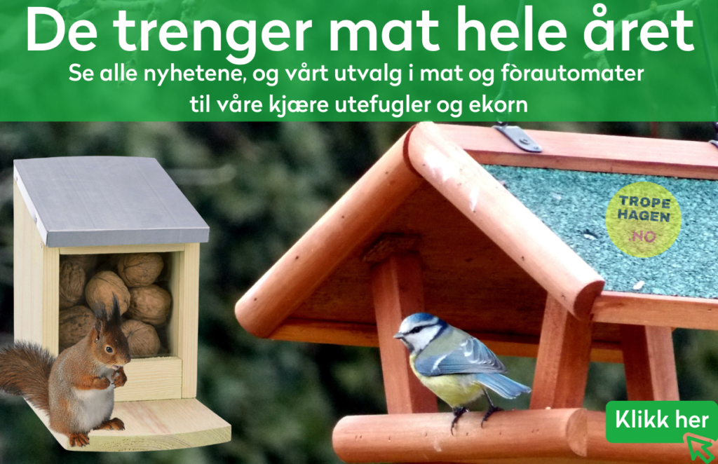 Mat hele året
