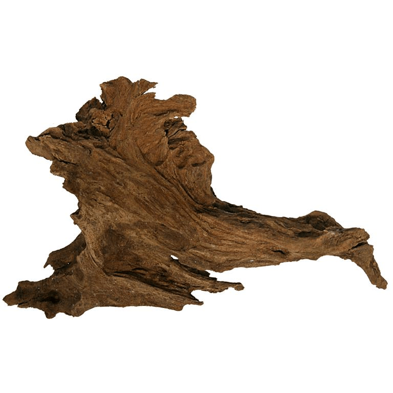 Mangrove Trerot - XL 40-60cm