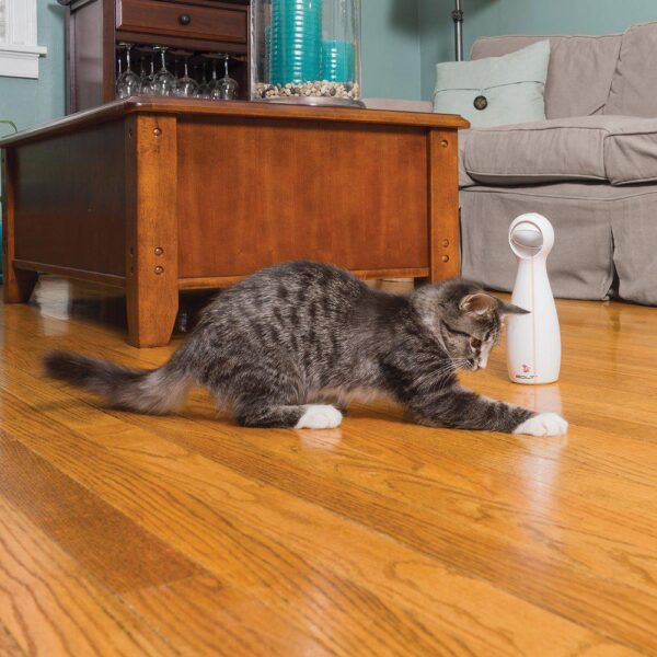 PetSafe Frolicat bolt Laser