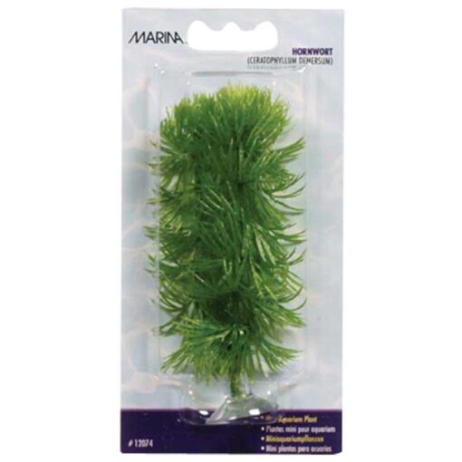 Plastplante hornwort mini 10cm med sugekopp