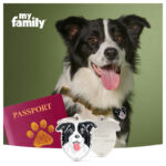 Myfamily Border collie IDtag