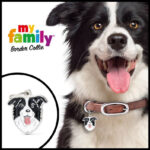 Myfamily Border collie IDtag