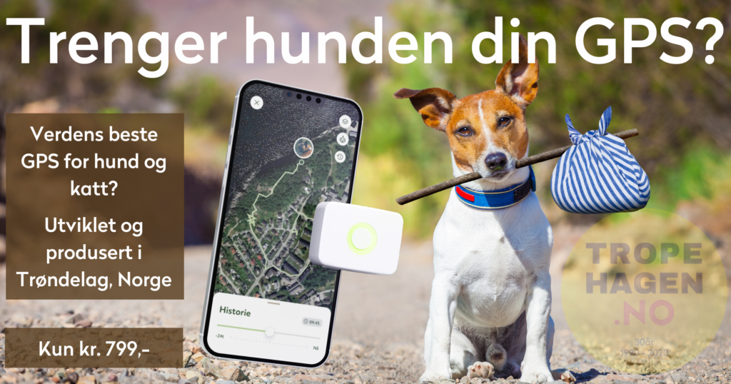 Lildog aktivitet og GPStracker hund