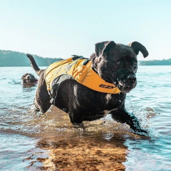 Ezydog Flytevest Boost til hund