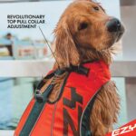 Ezydog Flytevest Boost til hund