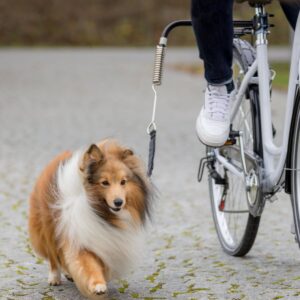 Sykkelfeste til liten og mellomstor hund