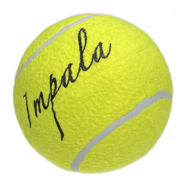 AirDog hundeleke Tennisball 16cm -èn stk